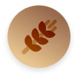 GrainToken Icon